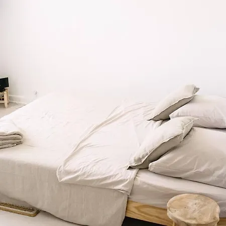 T3 Hyper Centre - Carles Ii